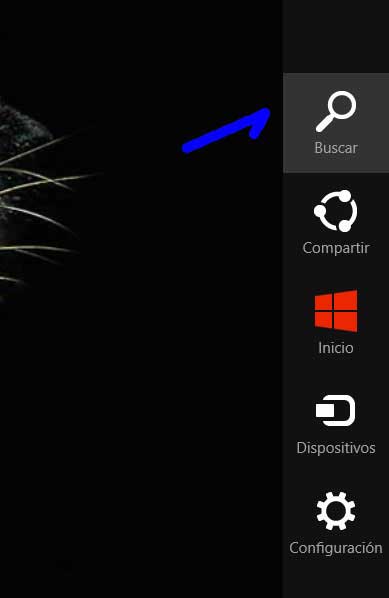 w8busqueda